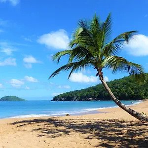 ** Couette-café Rose Des Vents Guadeloupe